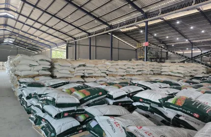 Berita Kinerja Cemerlang Penjualan PT Nusa Palapa Gemilang Tbk Naik 81 di Kuartal I2025 stok bahan jadi retail hijau 1