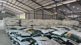 Kinerja Cemerlang Penjualan PT Nusa Palapa Gemilang Tbk Naik 81 di Kuartal I2025