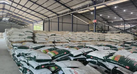 Kinerja Cemerlang Penjualan PT Nusa Palapa Gemilang Tbk Naik 81 di Kuartal I2025
