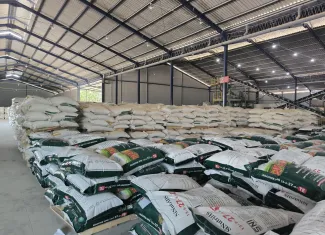 Berita Kinerja Cemerlang Penjualan PT Nusa Palapa Gemilang Tbk Naik 81 di Kuartal I2025 stok bahan jadi retail hijau 1