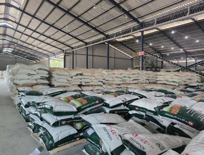 Kinerja Cemerlang Penjualan PT Nusa Palapa Gemilang Tbk Naik 81 di Kuartal I2025
