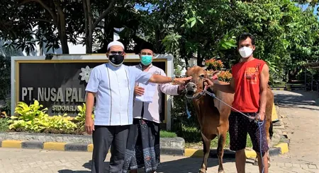 Welcoming Eid alAdha 1442 H PT Nusa Palapa Gemilang Tbk Hands Sacrificial Animals to the Community