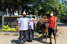 Berita Sambut Idul Adha 1442 H PT Nusa Palapa Gemilang Tbk Serahkan Hewan Kurban Kepada Masyarakat whatsapp image 2021 07 22 at 12 51 46