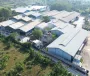 Berita Pupuk Granul Solusi Efektif untuk Perkebunan Kelapa Sawit Hortikultura dan Tanaman Pangan