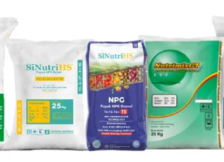 Berita Pupuk NPK Solusi Nutrisi untuk Sawit yang Produktif dan Berkelanjutan ~blog/2025/9/9/picture web f1ab2 3553 287