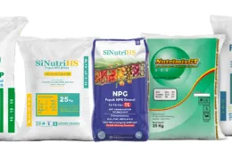 News Pupuk NPK Nutritional Solutions for Productive and Sustainable Oil Palm ~blog/2025/9/9/picture web f1ab2 3553 287