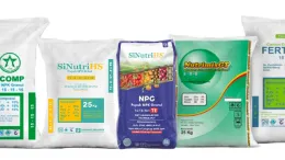 Pupuk NPK Solusi Nutrisi untuk Sawit yang Produktif dan Berkelanjutan