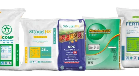Pupuk NPK Solusi Nutrisi untuk Sawit yang Produktif dan Berkelanjutan