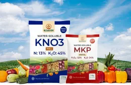 Berita NPGF Siap Luncurkan Produk Baru Pupuk MKP dan KNO3 ~dl/2026/1/13/mkp dan kno3