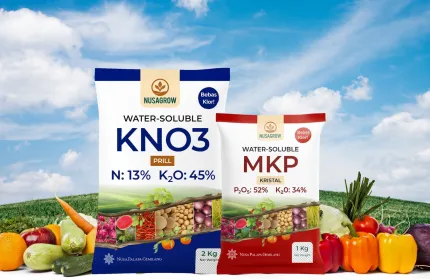Berita NPGF Siap Luncurkan Produk Baru Pupuk MKP dan KNO3 ~dl/2026/1/13/mkp dan kno3