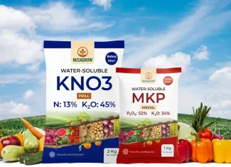 Berita NPGF Siap Luncurkan Produk Baru Pupuk MKP dan KNO3 ~dl/2026/1/13/mkp dan kno3