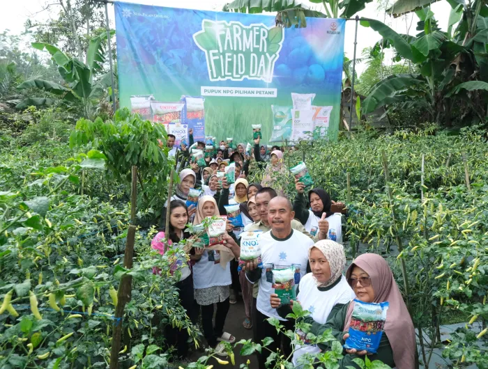 NPGF Dorong Produktivitas Cabai untuk Perkuat Ketahanan Pangan di Magelang