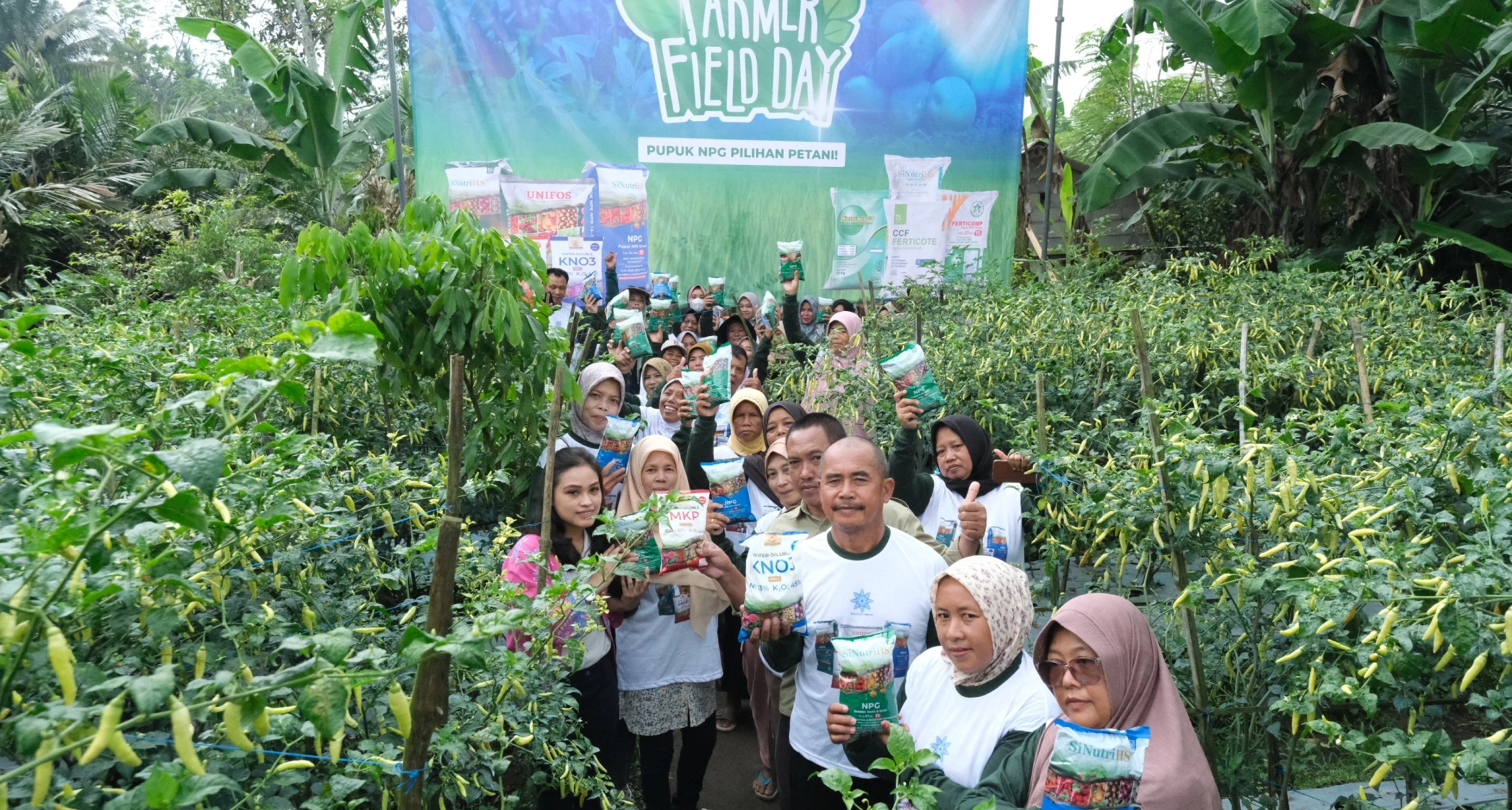 NPGF Boosts Chili Productivity to Strengthen Food Security in Magelang